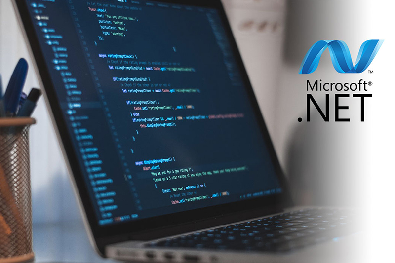 .Net Development Service