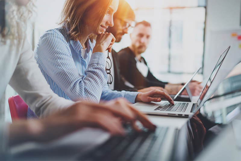 Wordpress Web Development